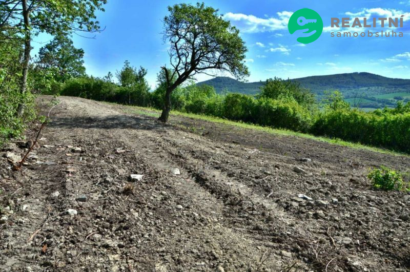 Pozemek v k.ú. Oparno 1600m Lovoš - obrázek č.2