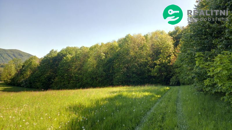 Vzrostlý les 100% vlastnictví Ženklava - obrázek č.2