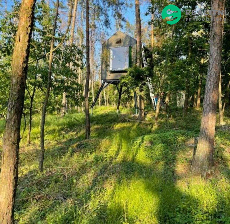 Prodám pozemek s krásnými stromy 2577m2 Dubnice - obrázek č.3