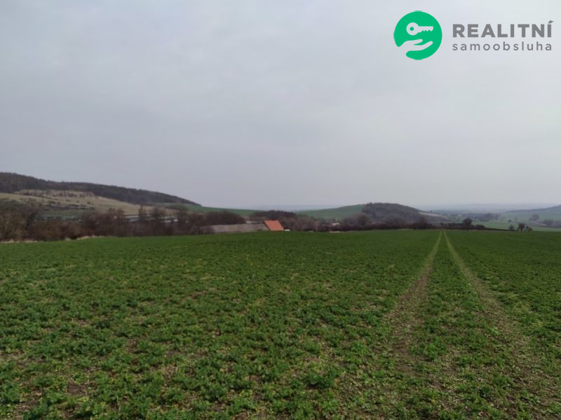 PRODEJ ZEMĚDĚLSKÝCH POZEMKŮ 13,09 ha - MAŠŤOV, CHOMUTOVSKO - obrázek č.2