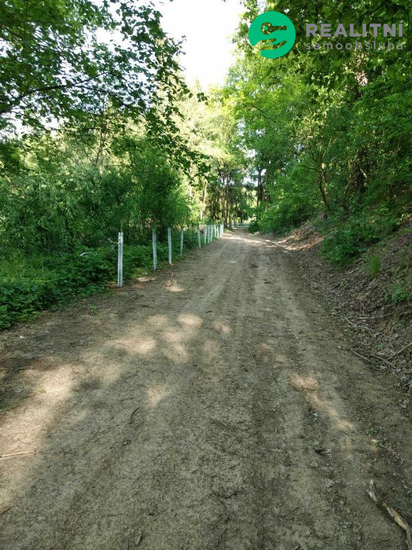 Prodej lesního pozemku 1,1 ha, Hraštice - obrázek č.2