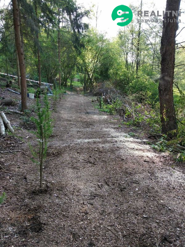 Prodej lesního pozemku 1,1 ha, Hraštice - obrázek č.4