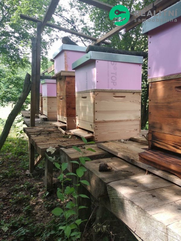 Prodej lesního pozemku 1,1 ha, Hraštice - obrázek č.6