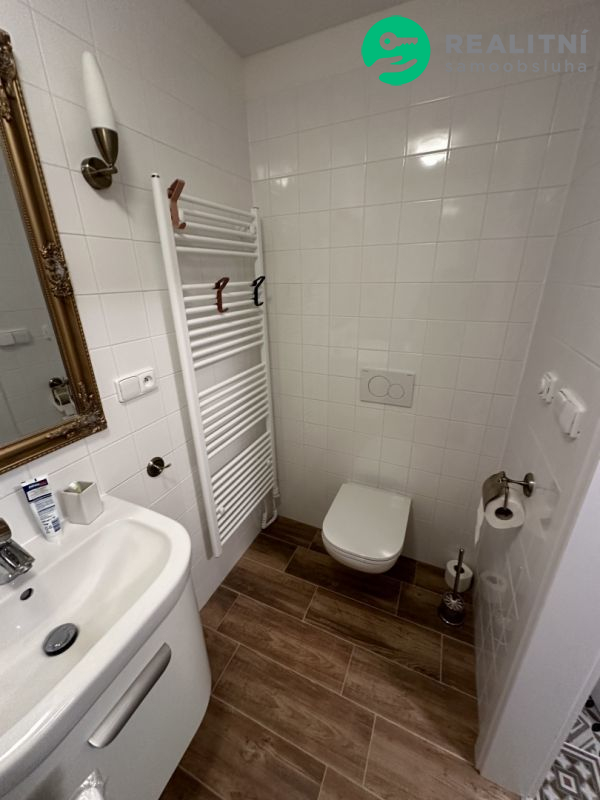 Prodej horského apartmánu ve Vítkovicích - obrázek č.10