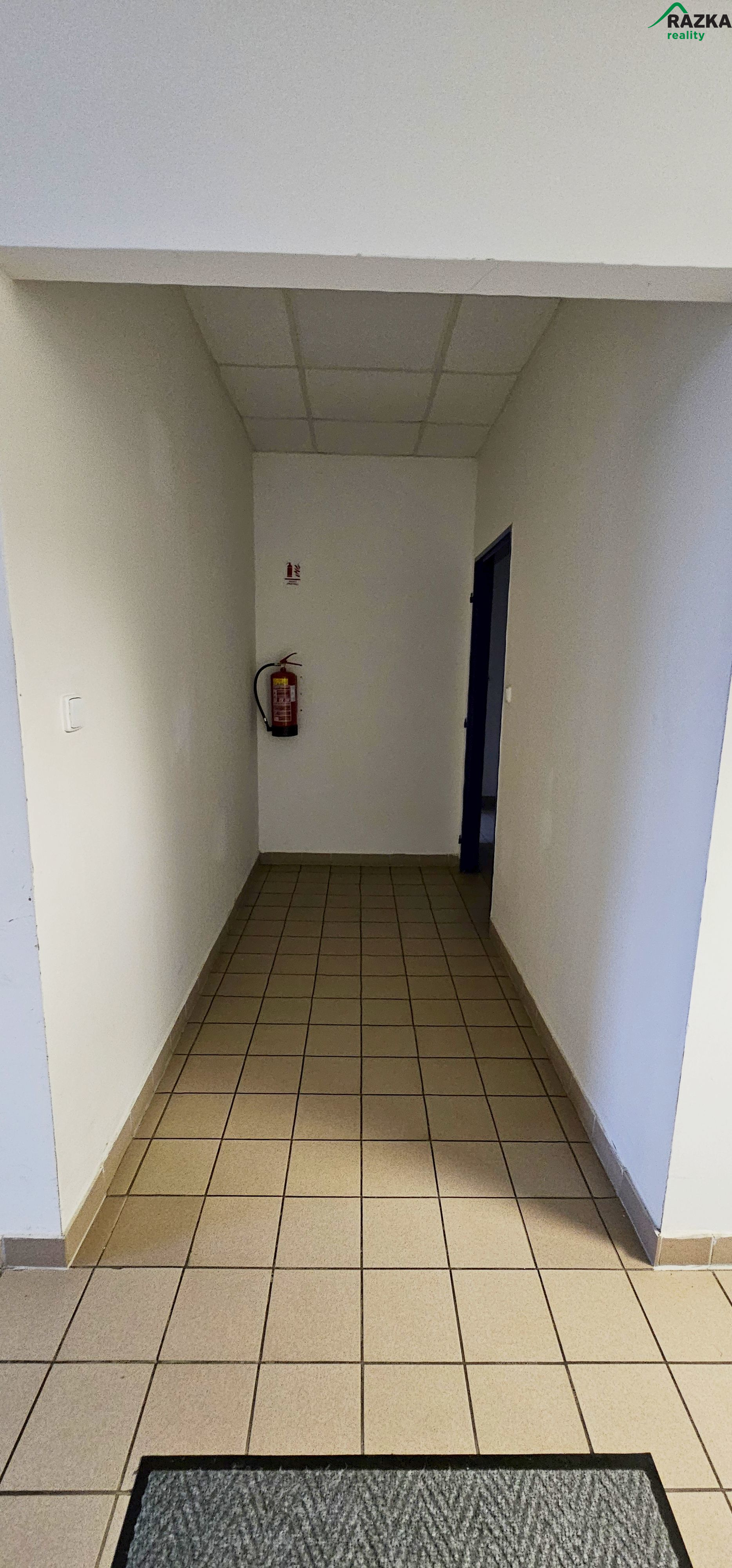 Výrobní areál (6 101 m2) Planá, ul. Průmyslová - obrázek č.19