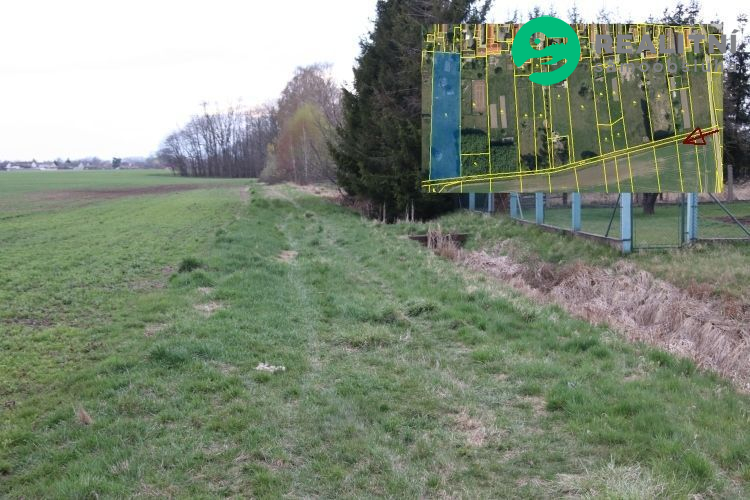 Sad bez sadu v Rasoškách u Jaroměře - obrázek č.8
