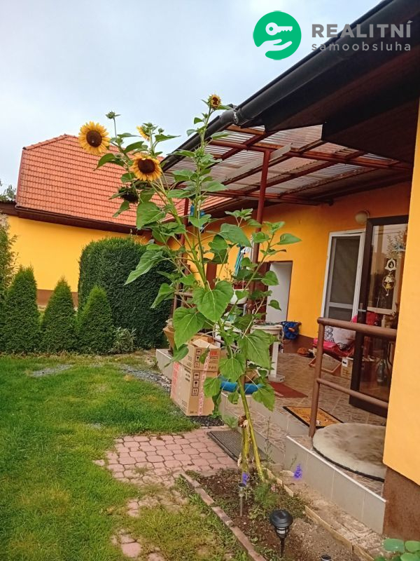 chalupa v Nekvasovech, Plzeň-jih - titulní obrázek