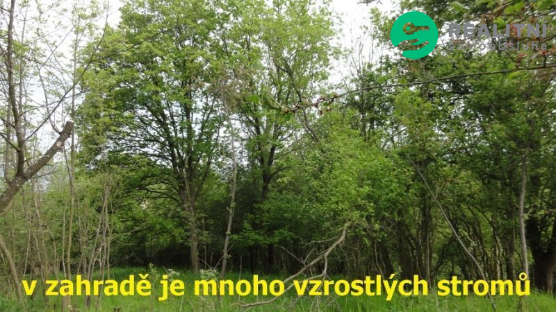 Pozemek 4474m2 pro rodinné sídlo v Ústí nad Labem - obrázek č.10