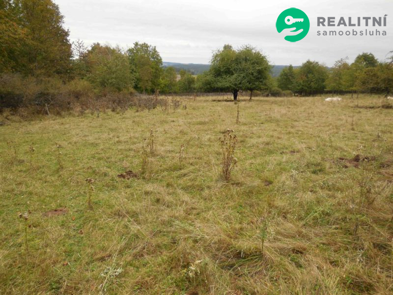 Stavební pozemek Poloučany 2000 m² - obrázek č.3