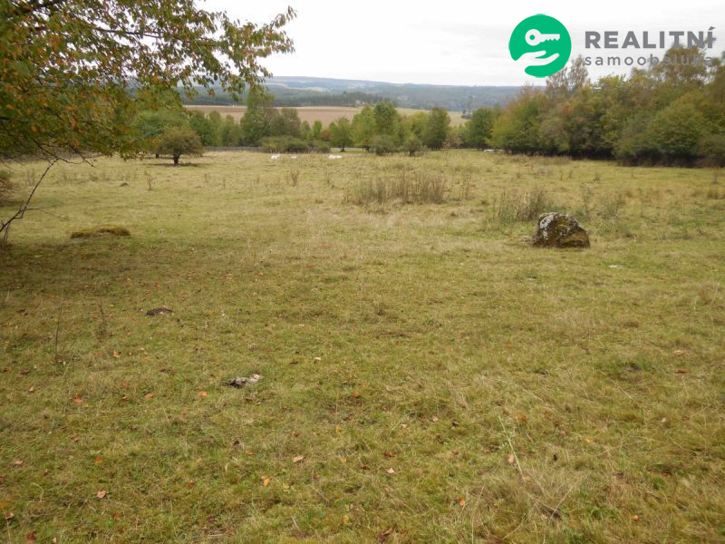 Stavební pozemek Poloučany 2000 m² - obrázek č.4