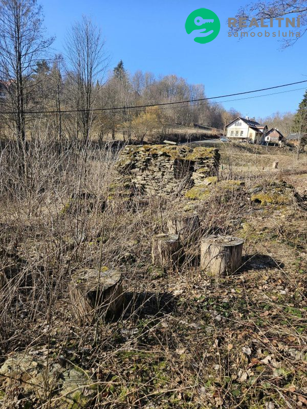 Pozemek Stará Ves u Vysokého nad Jizerou - titulní obrázek