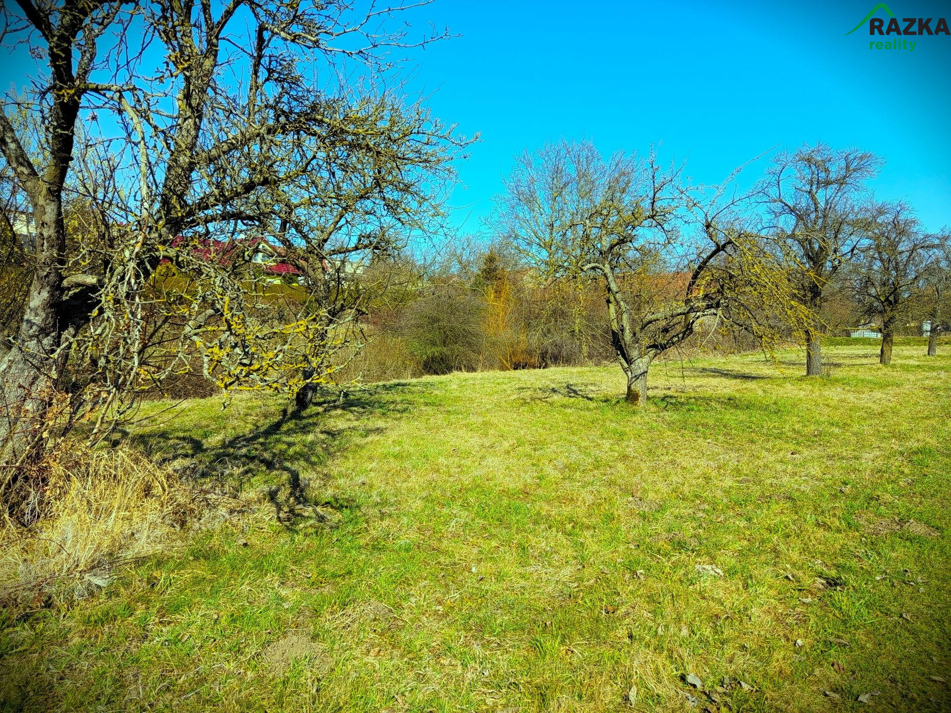 zahrada_v_kanicich_domazlicko