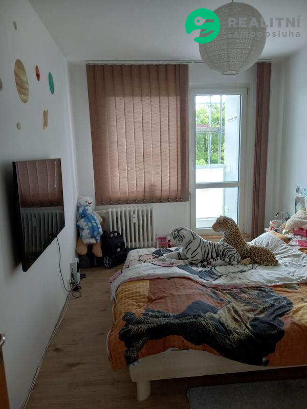 Byt 3+1 Zábřeh na Moravě - obrázek č.7