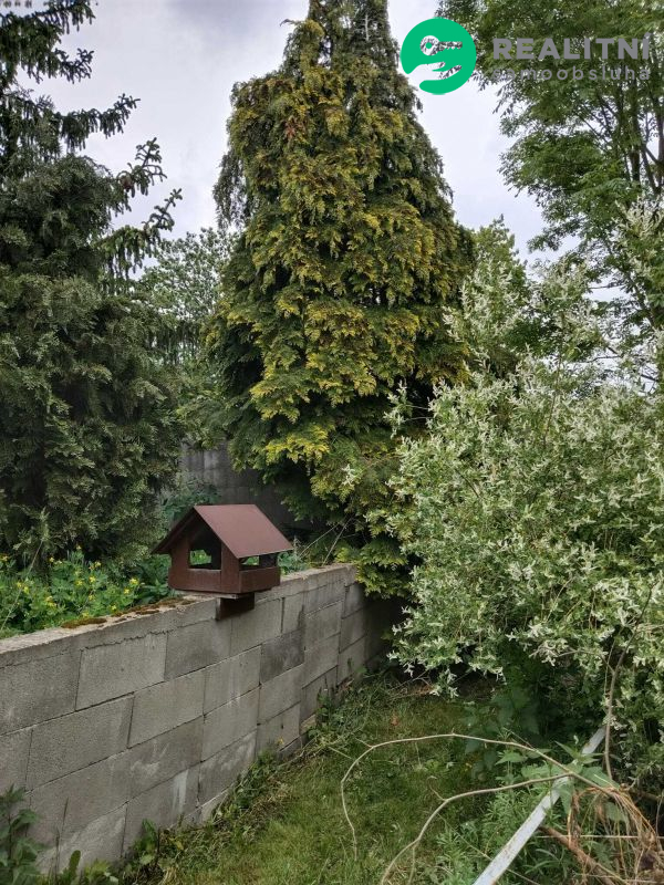 Podnájem nebo spolubydlení - obrázek č.6
