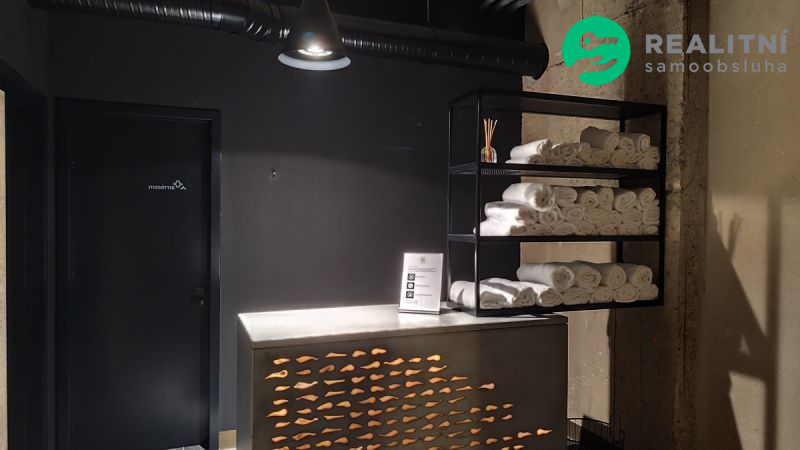 Mercedes mezi byty - luxusní 1kk 51m2 s wellness - obrázek č.9