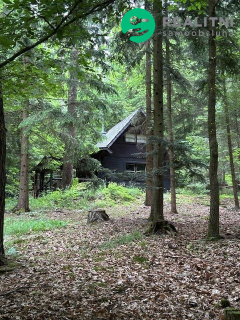 dřevěná chata v trampské osadě Proudy - obrázek č.4