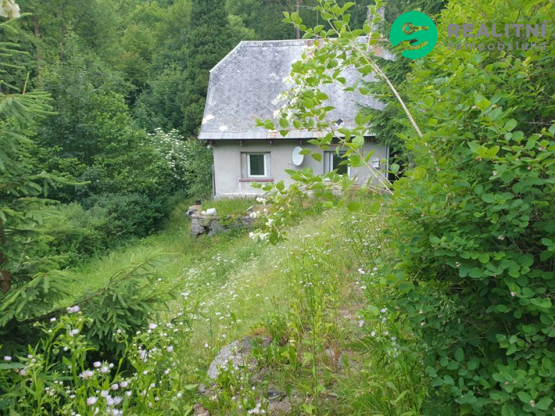 Dům či dva apartmány Desná - titulní obrázek