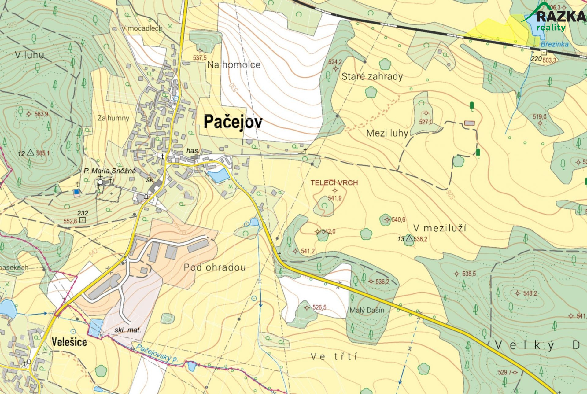 trvaly_travni_porost_v_pacejove_okres_klatovy