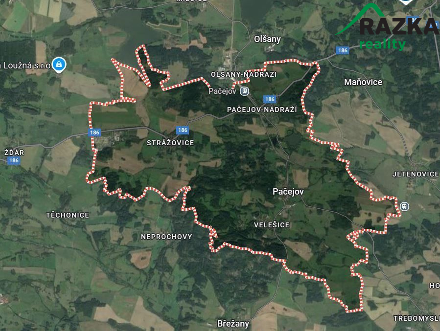 Trvalý travní porost v Pačejově, okres Klatovy - obrázek č.4