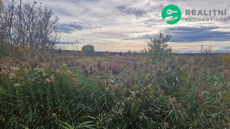 Pozemek ke stavbě Dubňany - obrázek č.4