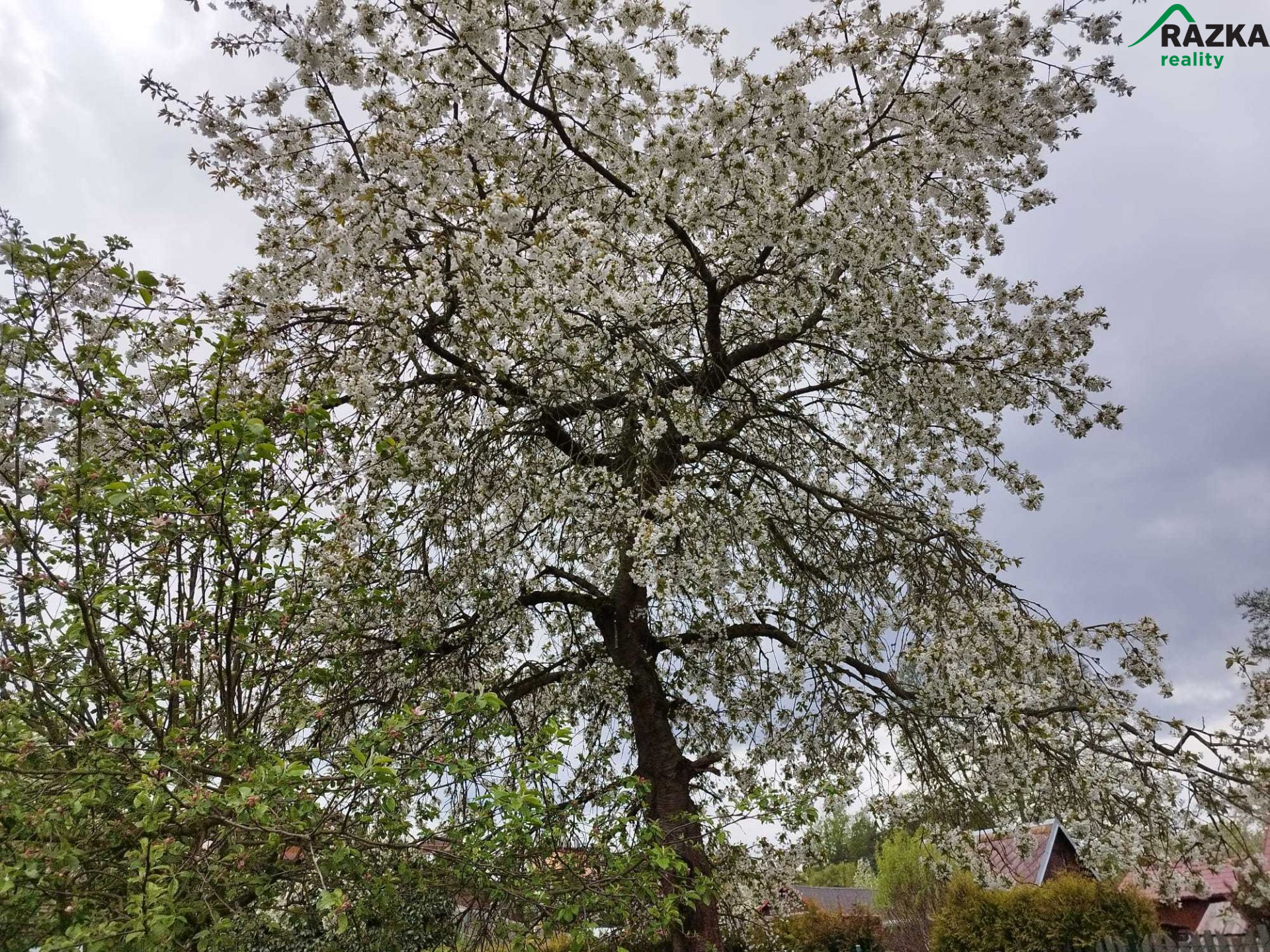 Zahrada (435m2) s chatou Tachov, Pod Plynárnou - obrázek č.12