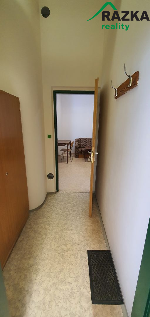 Nebytové prostory (54 m2) Planá, ul. Bezdružická - obrázek č.5