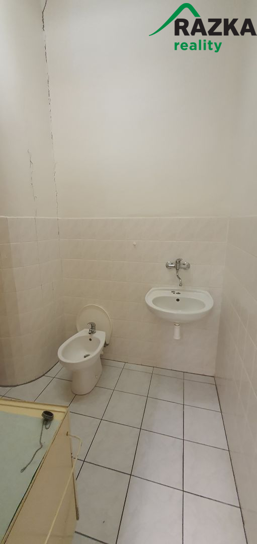 Nebytové prostory (54 m2) Planá, ul. Bezdružická - obrázek č.9