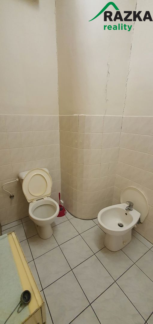 Nebytové prostory (54 m2) Planá, ul. Bezdružická - obrázek č.10