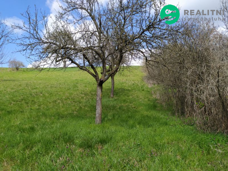 Zahrada Hradčovice 571m2 (okr. Uherský Brod) - titulní obrázek