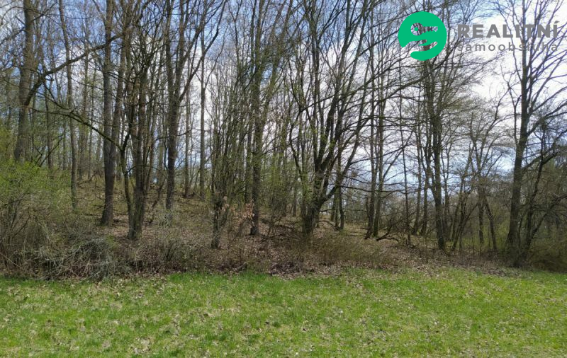 Prodej dvou pozemků, celkem 2172 m2 Hradčovice (okr Uherský Brod) - obrázek č.2