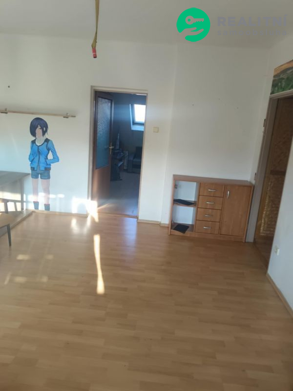 Byt 2+1 prodej - obrázek č.19